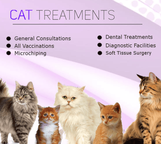 Cat treatments in toti