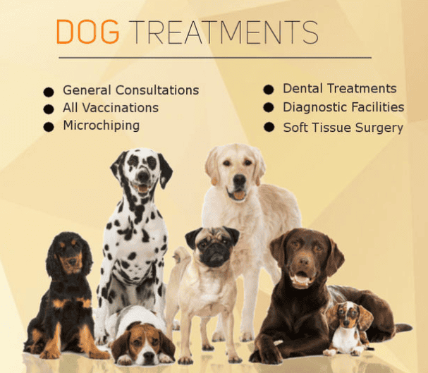 Dog Treatments
